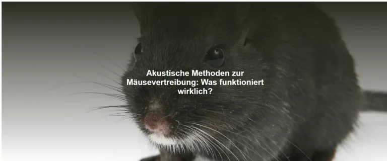 Akustische Methoden zur Mäusevertreibung – Was funktioniert wirklich?
