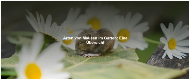 Arten von Mäusen im Garten: Eine Übersicht
