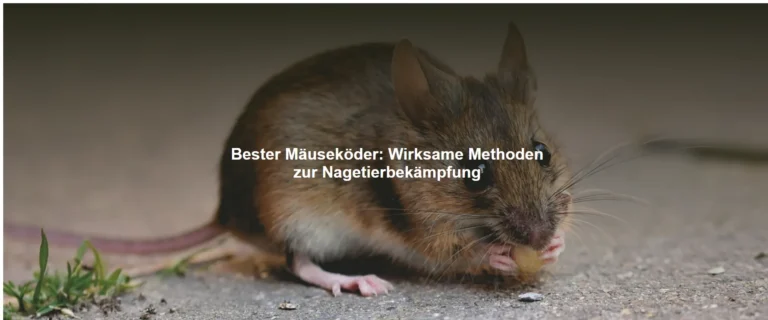 Bester Mäuseköder – Wirksame Methoden zur Nagetierbekämpfung
