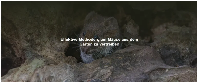 Effektive Methoden, um Mäuse aus dem Garten zu vertreiben