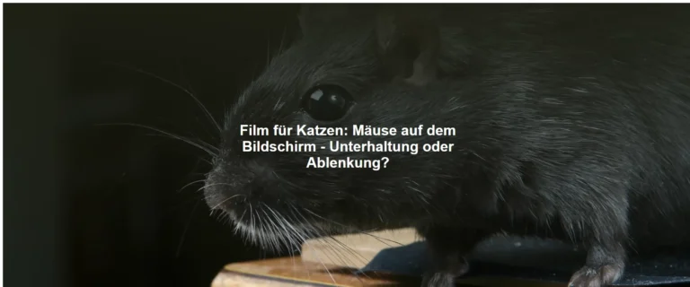 Film für Katzen – Mäuse auf dem Bildschirm – Unterhaltung oder Ablenkung?