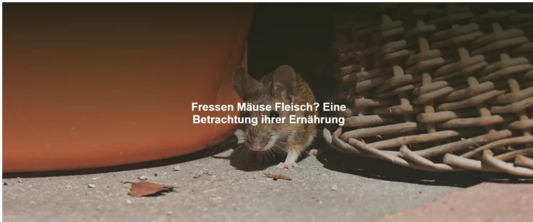 Fressen Mäuse Fleisch? Eine Betrachtung ihrer Ernährung