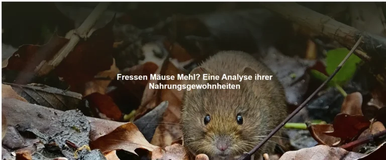 Fressen Mäuse Mehl? Eine Analyse ihrer Nahrungsgewohnheiten