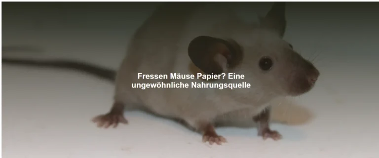 Fressen Mäuse Papier? Eine ungewöhnliche Nahrungsquelle