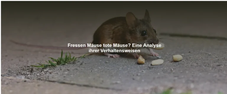 Fressen Mäuse tote Mäuse? Eine Analyse ihrer Verhaltensweisen
