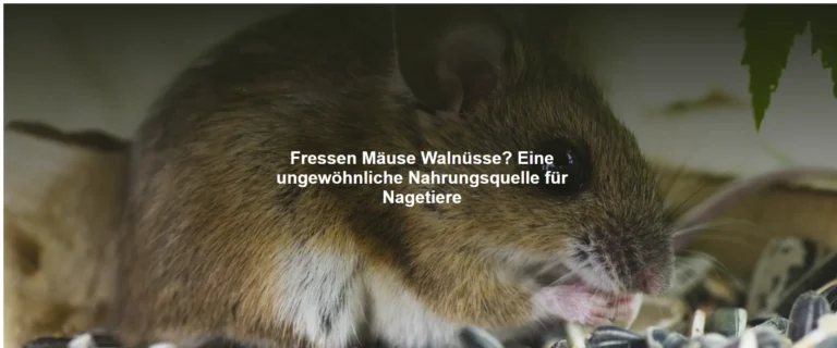 Fressen Mäuse Walnüsse? Eine ungewöhnliche Nahrungsquelle für Nagetiere