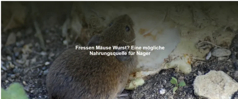 Fressen Mäuse Wurst? Eine mögliche Nahrungsquelle für Nager