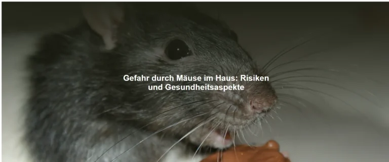 Gefahr durch Mäuse im Haus – Risiken und Gesundheitsaspekte