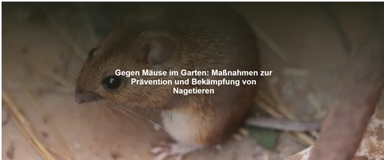 Gegen Mäuse im Garten – Maßnahmen zur Prävention und Bekämpfung von Nagetieren