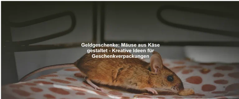 Geldgeschenke – Mäuse aus Käse gestaltet – Kreative Ideen für Geschenkverpackungen
