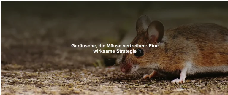 Geräusche, die Mäuse vertreiben: Eine wirksame Strategie