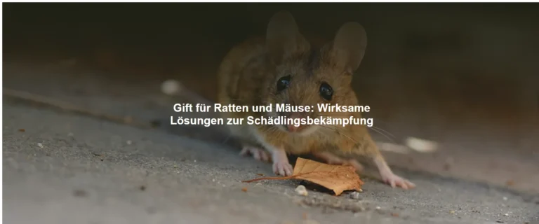 Gift für Ratten und Mäuse – Wirksame Lösungen zur Schädlingsbekämpfung