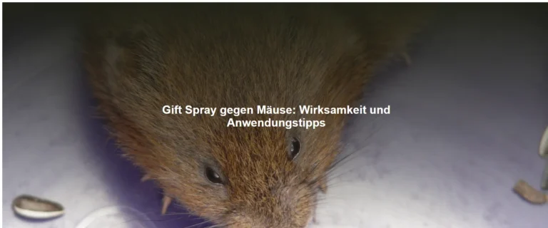 Gift Spray gegen Mäuse – Wirksamkeit und Anwendungstipps