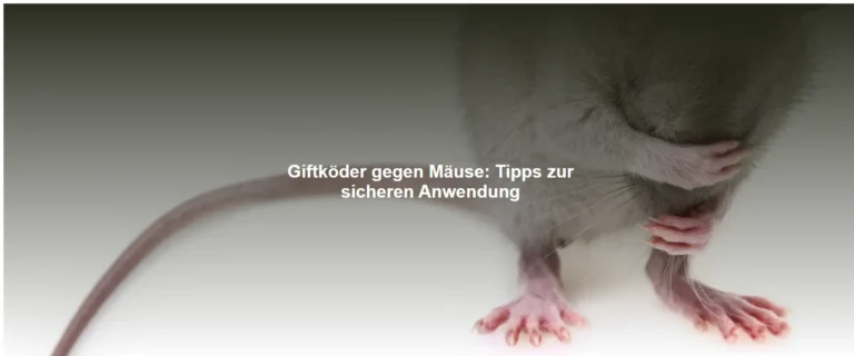 Giftköder gegen Mäuse – Tipps zur sicheren Anwendung