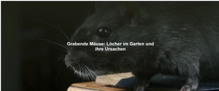 Grabende Mäuse – Löcher im Garten und ihre Ursachen