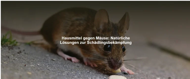 Hausmittel gegen Mäuse – Natürliche Lösungen zur Schädlingsbekämpfung