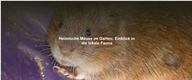 Heimische Mäuse im Garten – Einblick in die lokale Fauna