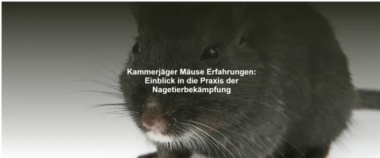 Kammerjäger Mäuse Erfahrungen – Einblick in die Praxis der Nagetierbekämpfung