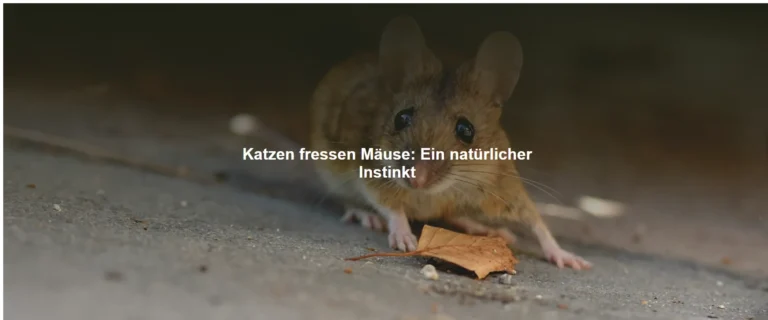 Katzen fressen Mäuse – Ein natürlicher Instinkt