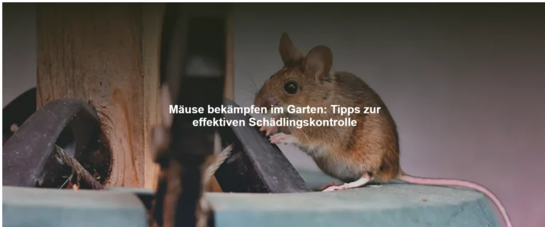 Mäuse bekämpfen im Garten – Tipps zur effektiven Schädlingskontrolle