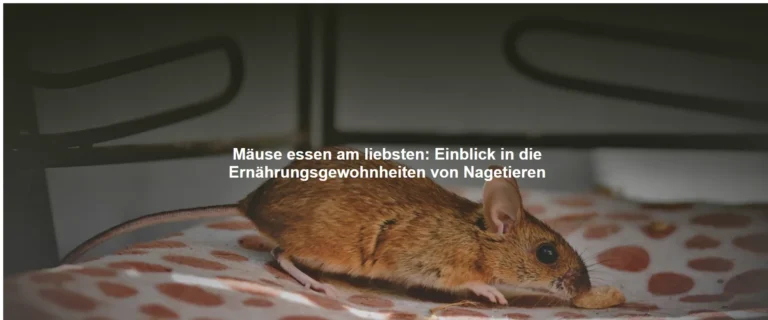 Mäuse essen am liebsten – Einblick in die Ernährungsgewohnheiten von Nagetieren