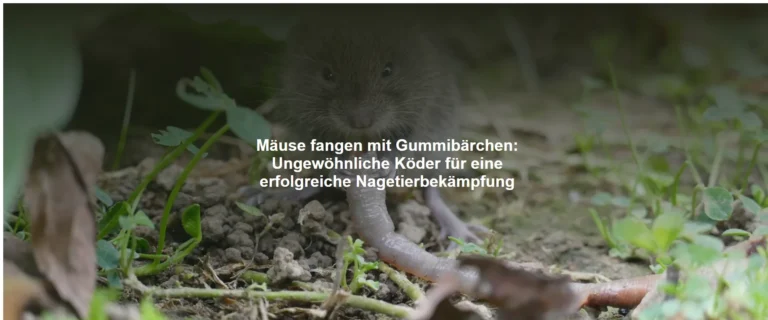 Mäuse fangen mit Gummibärchen – Ungewöhnliche Köder für eine erfolgreiche Nagetierbekämpfung