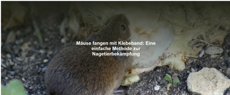 Mäuse fangen mit Klebeband – Eine einfache Methode zur Nagetierbekämpfung