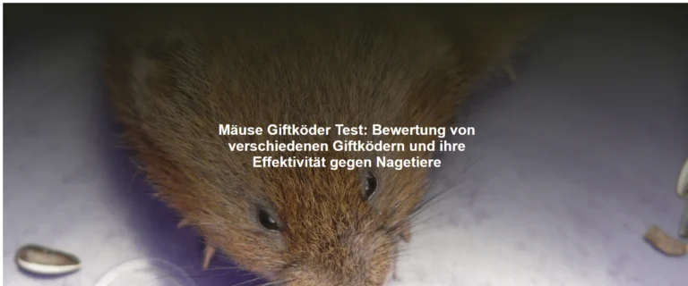 Mäuse Giftköder Test – Bewertung von verschiedenen Giftködern und ihre Effektivität gegen Nagetiere