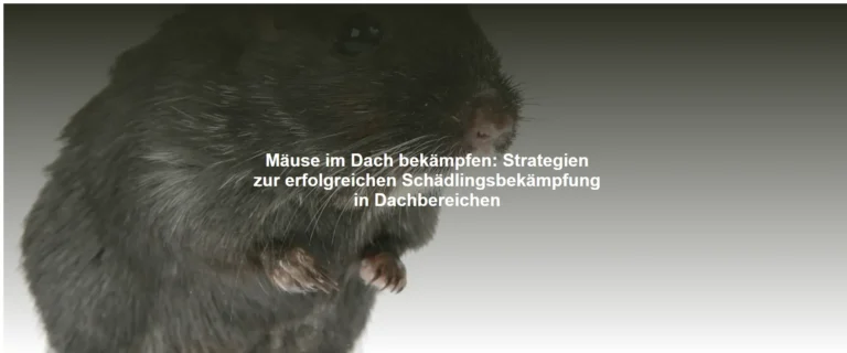 Mäuse im Dach bekämpfen – Strategien zur erfolgreichen Schädlingsbekämpfung in Dachbereichen