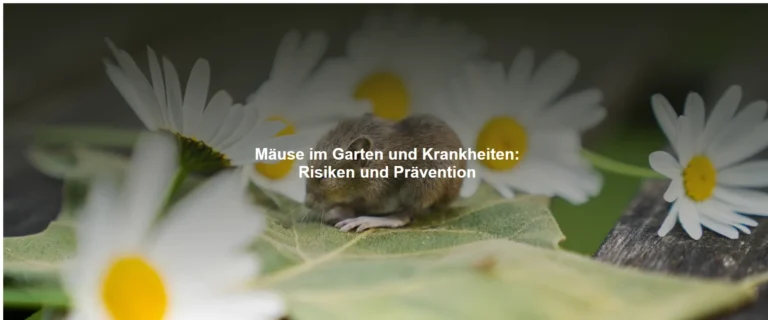 Mäuse im Garten und Krankheiten – Risiken und Prävention
