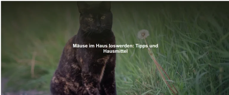 Mäuse im Haus loswerden: Tipps und Hausmittel