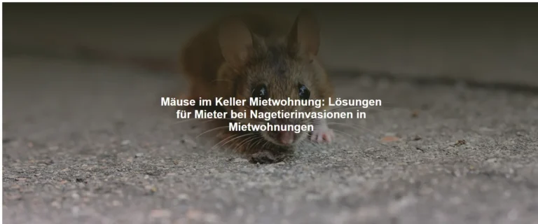 Mäuse im Keller Mietwohnung – Lösungen für Mieter bei Nagetierinvasionen in Mietwohnungen