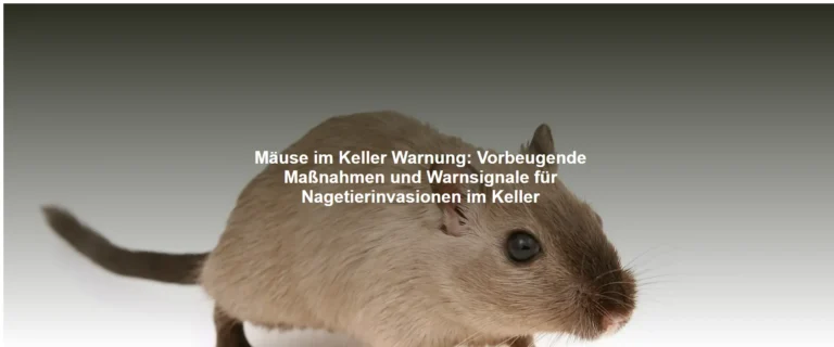 Mäuse im Keller Warnung – Vorbeugende Maßnahmen und Warnsignale für Nagetierinvasionen im Keller