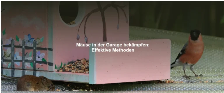 Mäuse in der Garage bekämpfen – Effektive Methoden