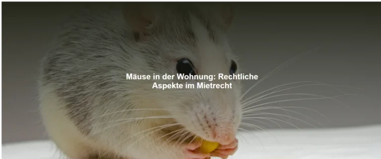 Mäuse in der Wohnung: Rechtliche Aspekte im Mietrecht