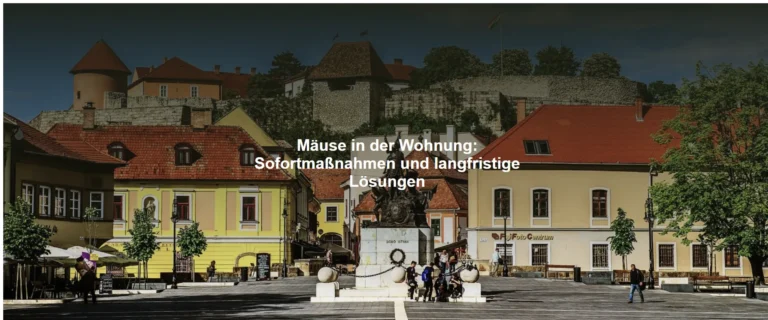 Mäuse in der Wohnung: Sofortmaßnahmen und langfristige Lösungen