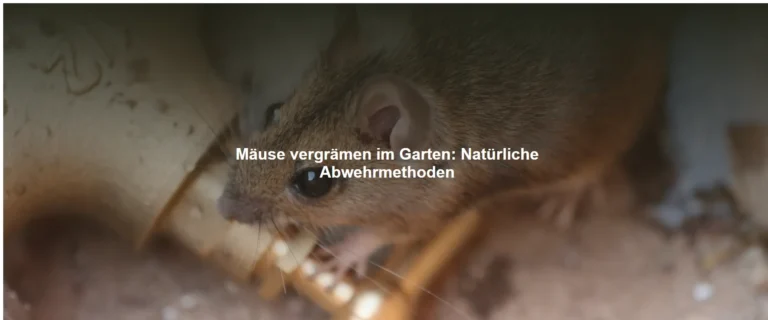Mäuse vergrämen im Garten – Natürliche Abwehrmethoden