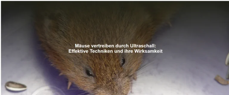 Mäuse vertreiben durch Ultraschall: Effektive Techniken und ihre Wirksamkeit