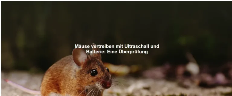Mäuse vertreiben mit Ultraschall und Batterie – Eine Überprüfung