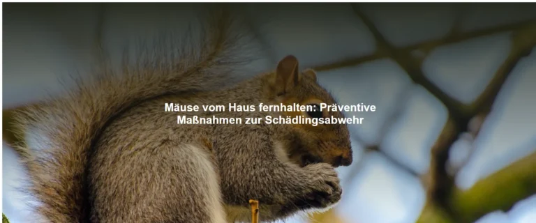 Mäuse vom Haus fernhalten – Präventive Maßnahmen zur Schädlingsabwehr