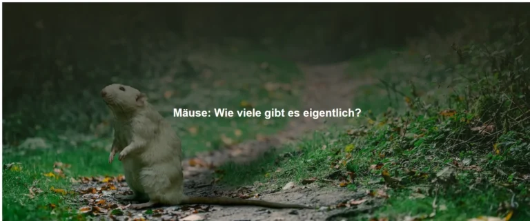 Mäuse: Wie viele gibt es eigentlich?
