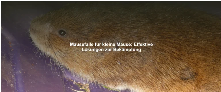 Mausefalle für kleine Mäuse – Effektive Lösungen zur Bekämpfung