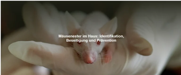 Mäusenester im Haus – Identifikation, Beseitigung und Prävention