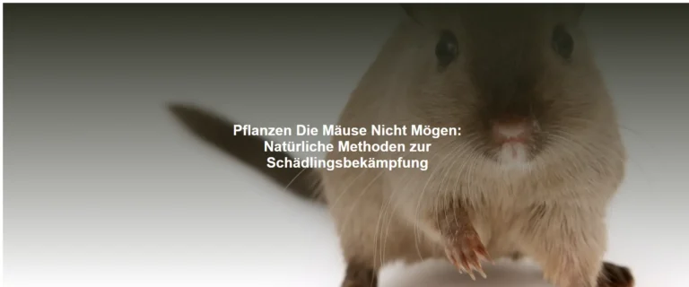 Pflanzen Die Mäuse Nicht Mögen – Natürliche Methoden zur Schädlingsbekämpfung