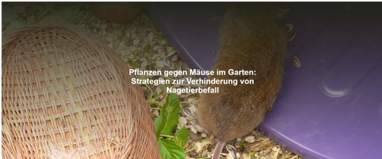 Pflanzen gegen Mäuse im Garten – Strategien zur Verhinderung von Nagetierbefall