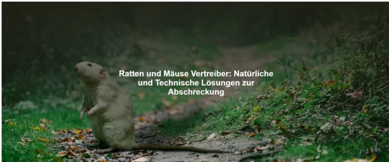 Ratten und Mäuse Vertreiber – Natürliche und Technische Lösungen zur Abschreckung