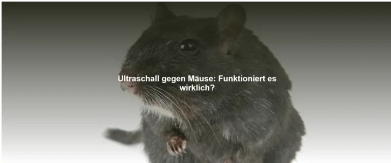 Ultraschall gegen Mäuse – Funktioniert es wirklich?