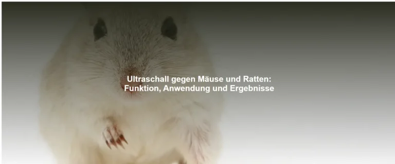 Ultraschall gegen Mäuse und Ratten – Funktion, Anwendung und Ergebnisse