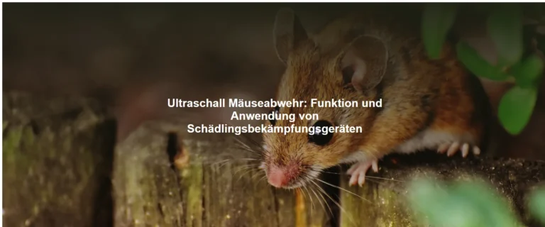 Ultraschall Mäuseabwehr – Funktion und Anwendung von Schädlingsbekämpfungsgeräten
