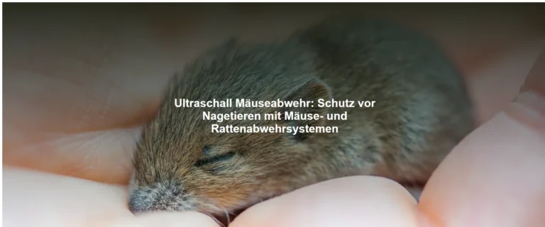 Ultraschall Mäuseabwehr – Schutz vor Nagetieren mit Mäuse- und Rattenabwehrsystemen